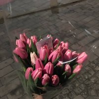 Фотография цветов