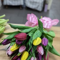 11 красных роз 70см