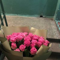 Promo! 51 pink roses