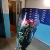 Бело-розовые розы поштучно
