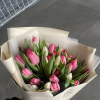 Tulips! - Haringey