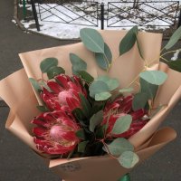 Protea by piece