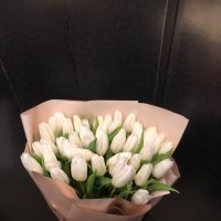 51 white tulips - Rubezhnoe