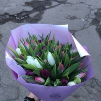 35 tulips mix