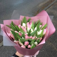 Pink tulips by the piece