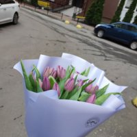29 purple tulips