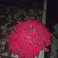 Huge bouquet of roses - Polonnoe
