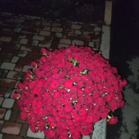 Huge bouquet of roses