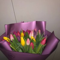 25 multi colored tulips - Novie_sanzhari