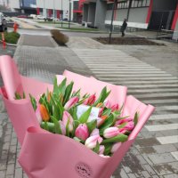 Букет тюльпанов 45 шт