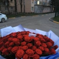 101 красная роза + фото