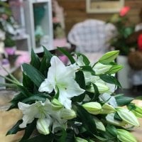 Lily white piece