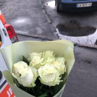 9 white roses - Ilovaysk