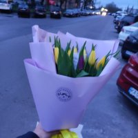 25 желтых и фиолетовых тюльпанов