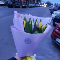 25 yellow and purple tulips