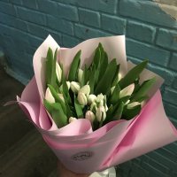 25 білих і рожевих тюльпанів