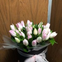 Білі тюльпани в коробці - Дамаскас