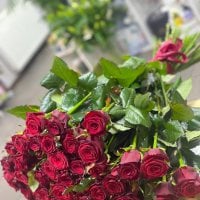 Поштучно красные розы 70 cм