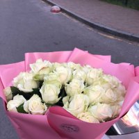 51 white roses