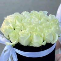 Cream roses in a box