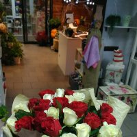 Доставка цветов Киев - Оболонский район