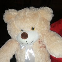 Brown teddy with a bow 60 cm - Bel Air