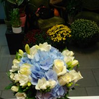 Доставка цветов Киев - Святошинский район