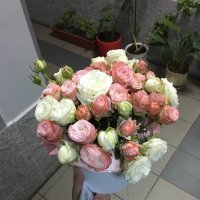 Spray roses in a box - Abha