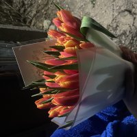 Червоні тюльпани поштучно