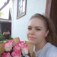 Букет 7 розовых роз