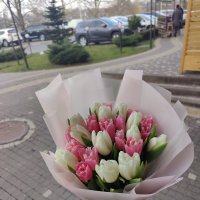 25 белых и розовых тюльпанов