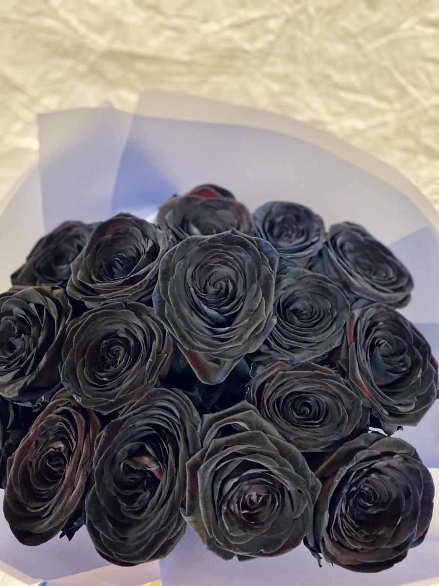 Как покрасить розу в разные цвета: пошаговая инструкция