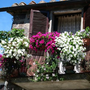 «Цветущие балконы»: долой серость