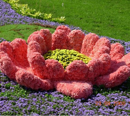 Выставка цветов в Днепропетровске
