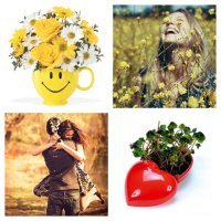 10 растений счастья, которые должны быть в каждом доме