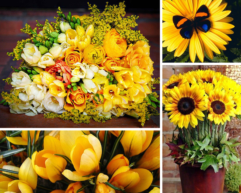 17 Reasons to Give Yellow Flowers (Part 2)