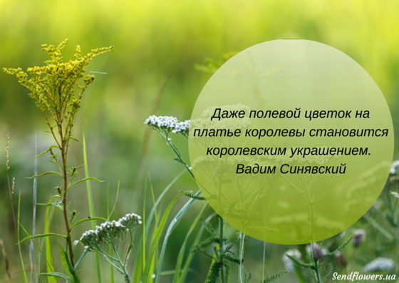 Для женщин, картинки красивые с цитатами про все в цветах