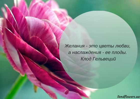 Красивые цитаты на открытках, прикольная картинка