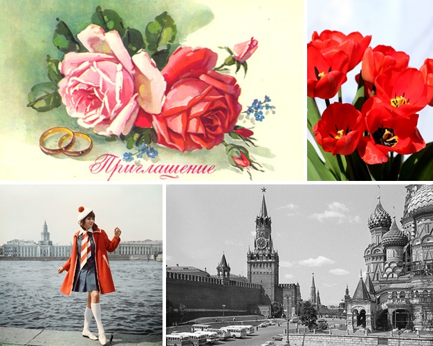 Фото Советских Цветов