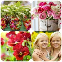 Домашние растения, которые притягивают удачу и успех