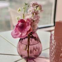 Домашний фэн-шуй: как с помощью цветов создать гармонию в доме