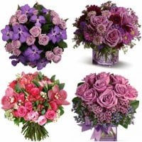 Фиолетовые розы — воплощение загадочности и таинственности