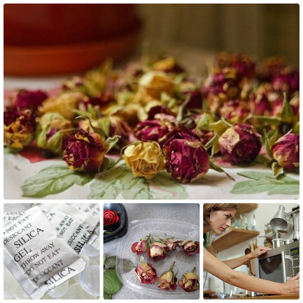 Как высушить тюльпан купить цветы с доставкой екатеринбург