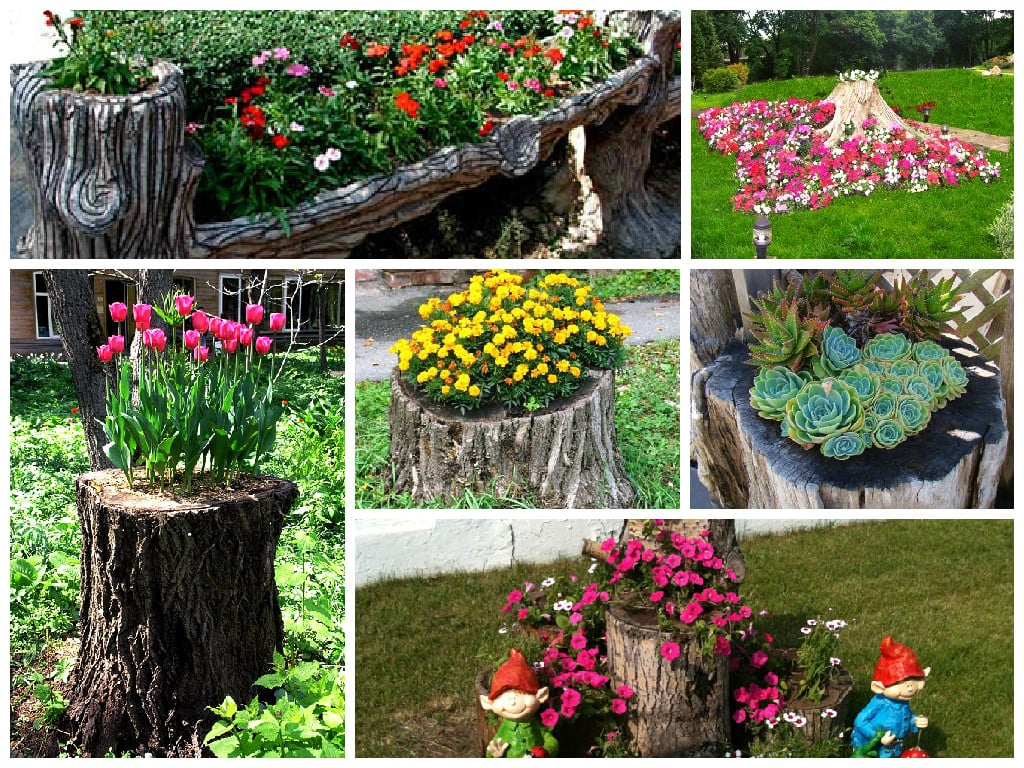Оригинальный садовый декор: 25 старых пней, превращённых в яркие цветники