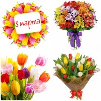 Какие цветы дарят на 8 марта в 2017 году