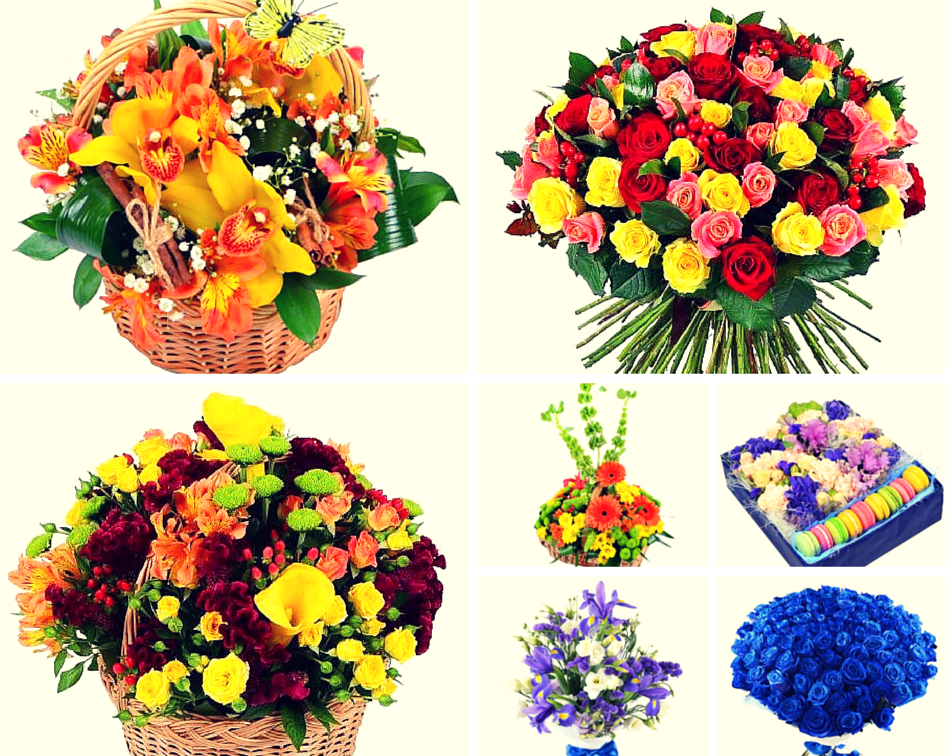 Сколько Можно Дарить Цветов На День Рождения