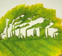 Необычное искусство – картины на листьях 