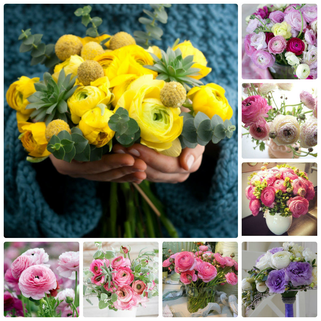Какие цветы подарить девушке на 8 Марта