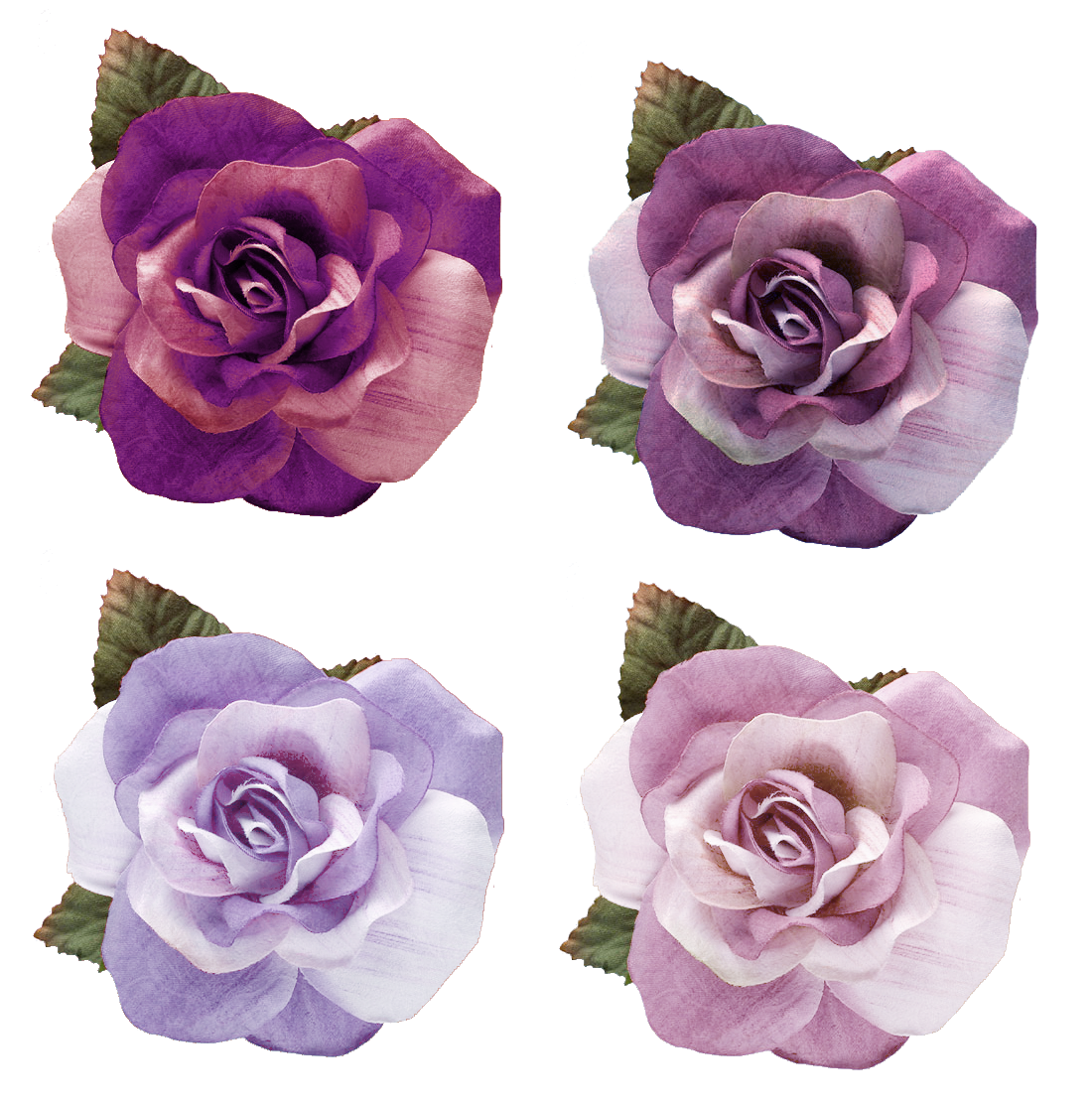 Роза фиолетовая. Фиолетовые розы поштучно