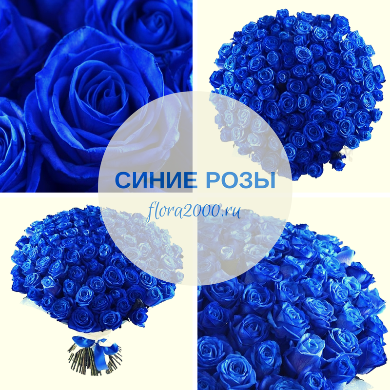 Синие розы с днем рождения картинки
